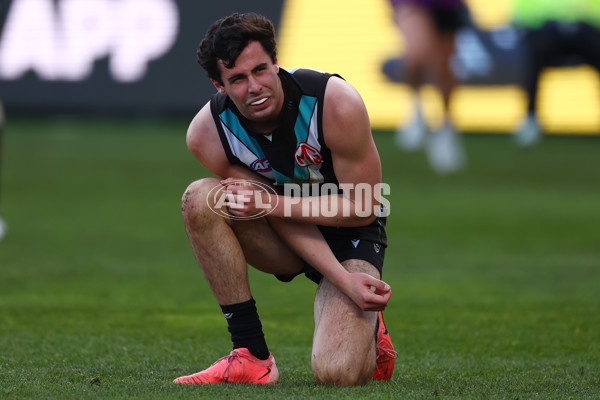 AFL 2025 Round 21 - Geelong v Port Adelaide - A-61043391