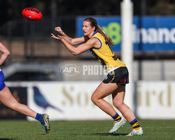 VFLW 2025 Round 14 - Sandringam v North Melbourne - A-61043432