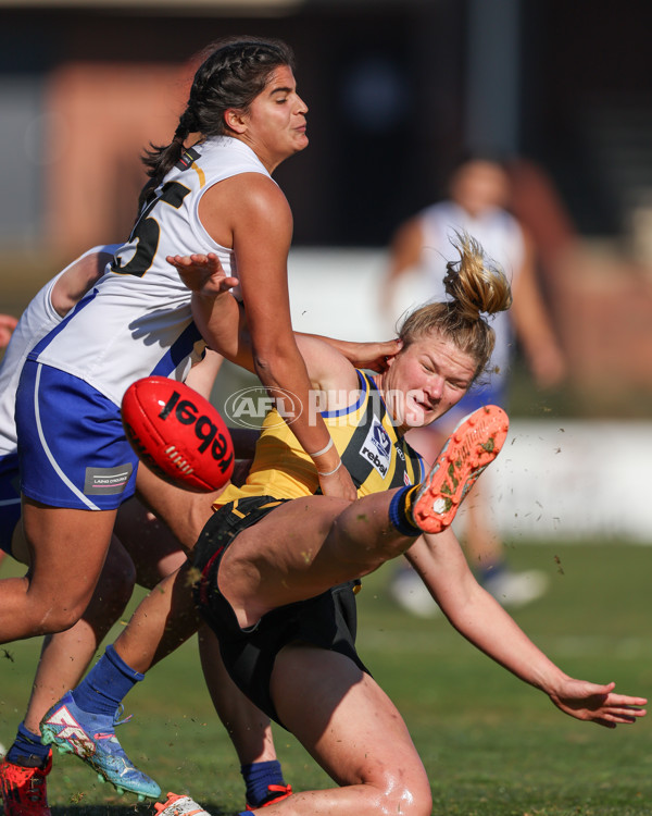 VFLW 2025 Round 14 - Sandringam v North Melbourne - A-61043435