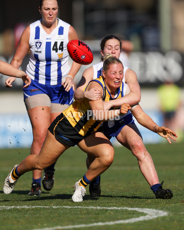 VFLW 2025 Round 14 - Sandringam v North Melbourne - A-61043436
