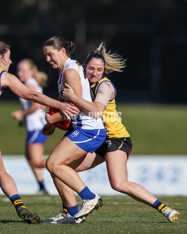 VFLW 2025 Round 14 - Sandringam v North Melbourne - A-61044823