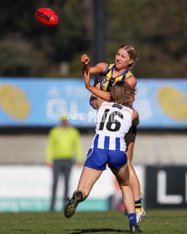 VFLW 2025 Round 14 - Sandringam v North Melbourne - A-61044826