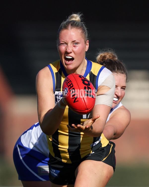 VFLW 2025 Round 14 - Sandringam v North Melbourne - A-61044827