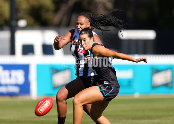 AFLW 2025 Practice Match - Port Adelaide v Collingwood - A-61044900