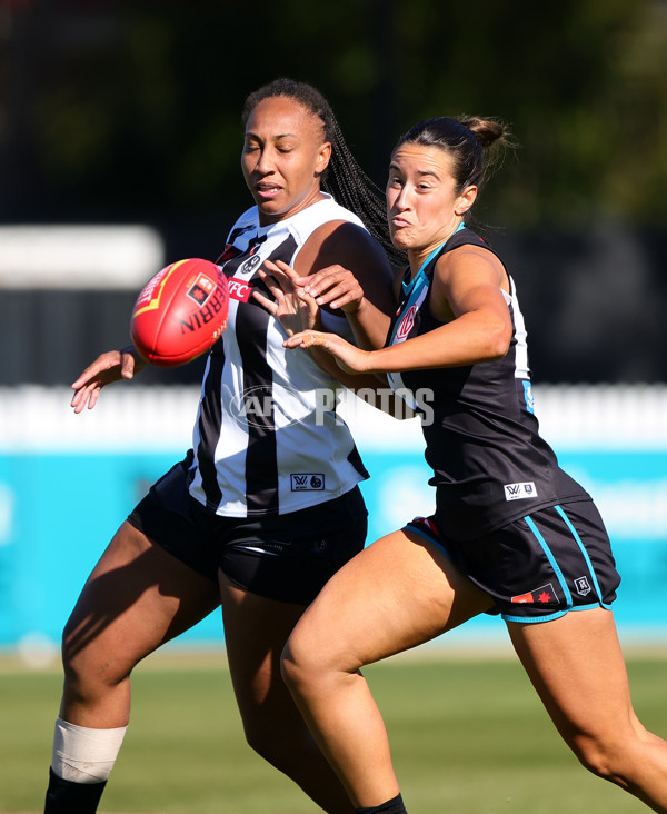 AFLW 2025 Practice Match - Port Adelaide v Collingwood - A-61046471