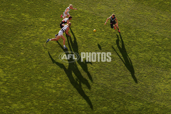 AFL 2025 Round 21 - Geelong v Port Adelaide - A-61046499