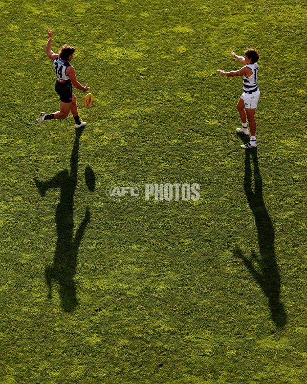 AFL 2025 Round 21 - Geelong v Port Adelaide - A-61048826