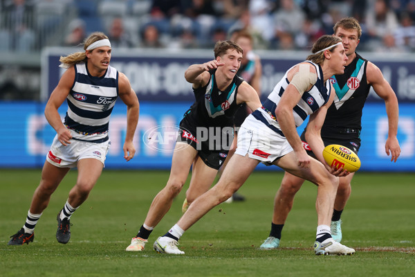 AFL 2025 Round 21 - Geelong v Port Adelaide - A-61050308