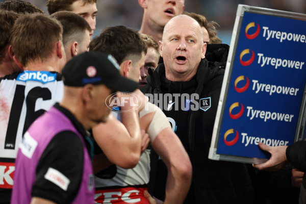 AFL 2025 Round 21 - Geelong v Port Adelaide - A-61052892