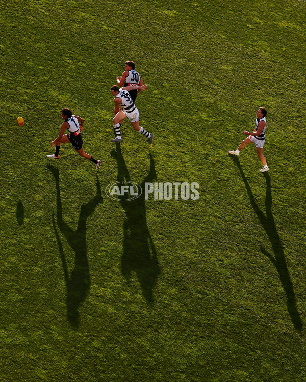 AFL 2025 Round 21 - Geelong v Port Adelaide - A-61059361