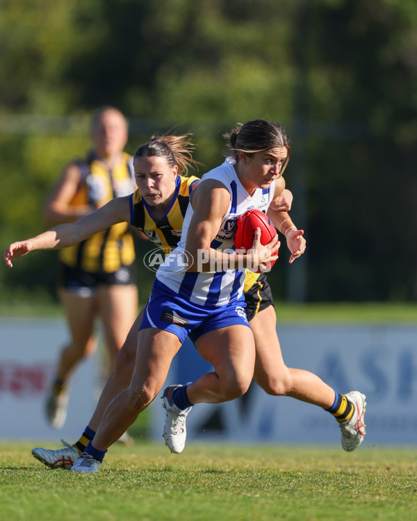 VFLW 2025 Round 14 - Sandringam v North Melbourne - A-61059429