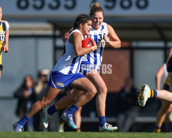 VFLW 2025 Round 14 - Sandringam v North Melbourne - A-61059439