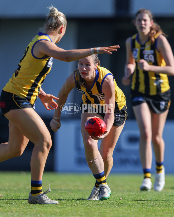 VFLW 2025 Round 14 - Sandringam v North Melbourne - A-61061370