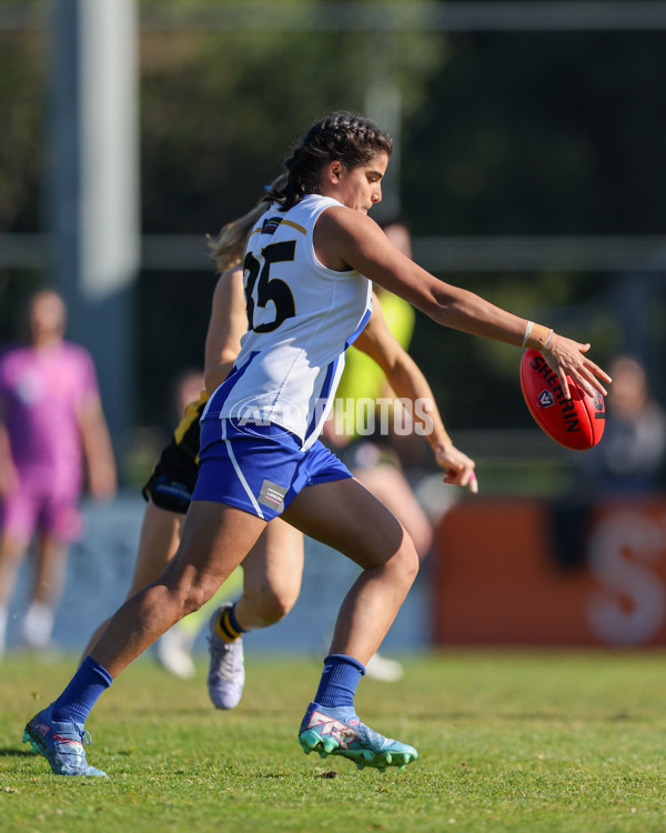 VFLW 2025 Round 14 - Sandringam v North Melbourne - A-61061404