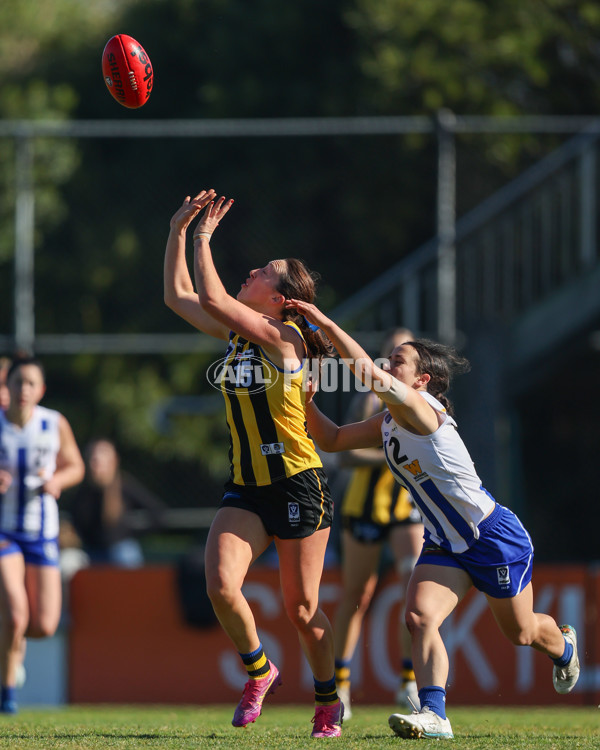 VFLW 2025 Round 14 - Sandringam v North Melbourne - A-61061405