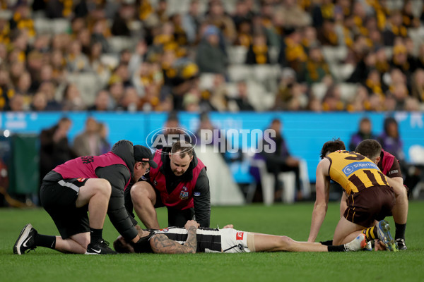 AFL 2025 Round 22 - Hawthorn v Collingwood - A-61160309