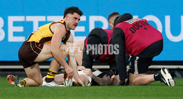 AFL 2025 Round 22 - Hawthorn v Collingwood - A-61160310