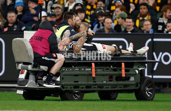 AFL 2025 Round 22 - Hawthorn v Collingwood - A-61160321