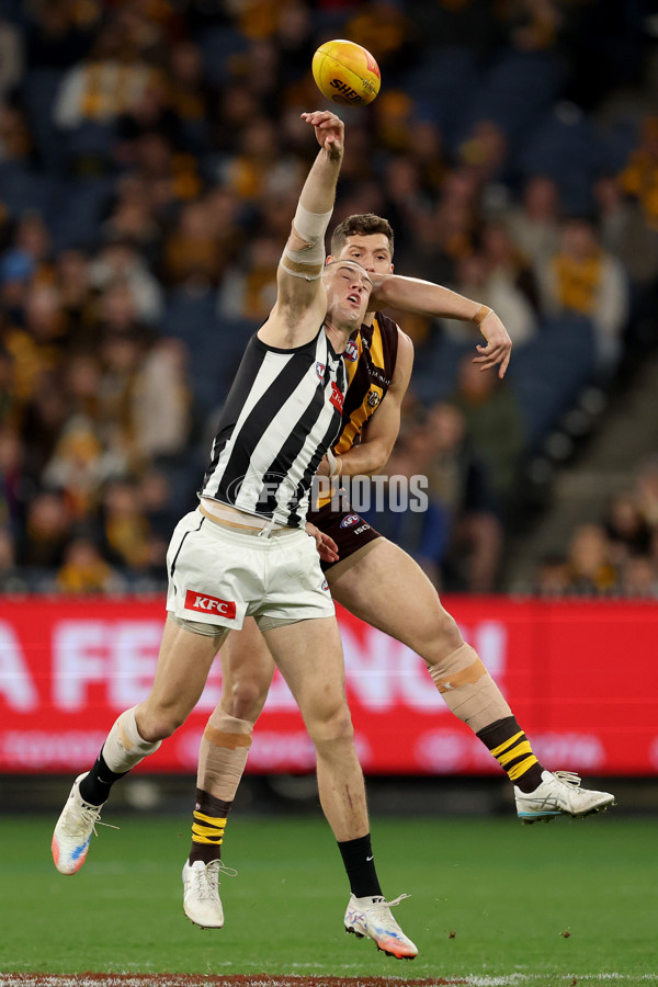 AFL 2025 Round 22 - Hawthorn v Collingwood - A-61160334