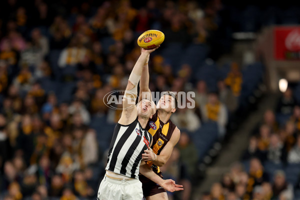 AFL 2025 Round 22 - Hawthorn v Collingwood - A-61160337