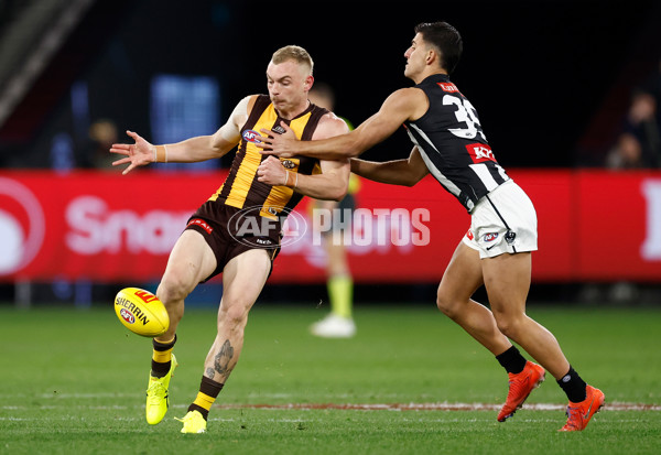 AFL 2025 Round 22 - Hawthorn v Collingwood - A-61160340