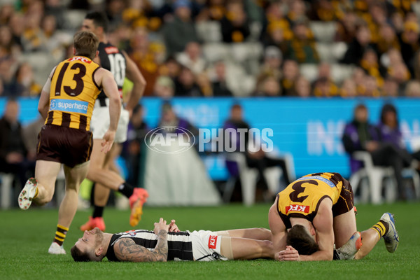 AFL 2025 Round 22 - Hawthorn v Collingwood - A-61162196