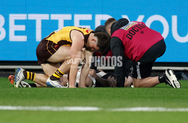 AFL 2025 Round 22 - Hawthorn v Collingwood - A-61162203