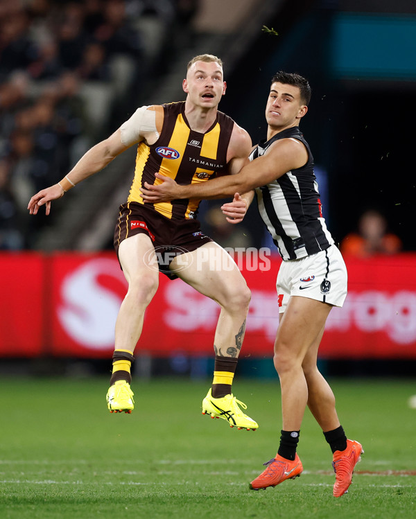 AFL 2025 Round 22 - Hawthorn v Collingwood - A-61162230