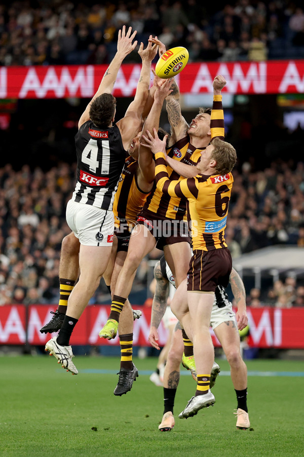 AFL 2025 Round 22 - Hawthorn v Collingwood - A-61162233