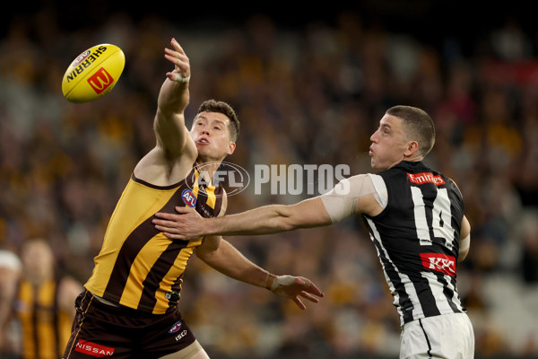 AFL 2025 Round 22 - Hawthorn v Collingwood - A-61162238