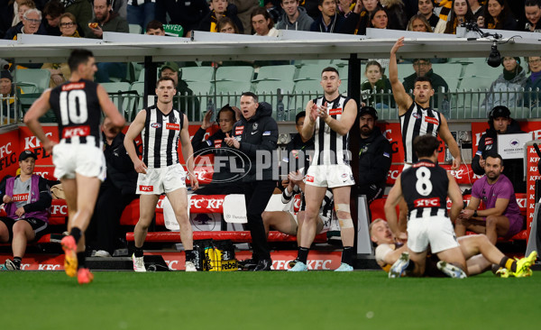 AFL 2025 Round 22 - Hawthorn v Collingwood - A-61162243