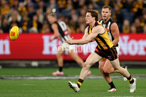 AFL 2025 Round 22 - Hawthorn v Collingwood - A-61162251