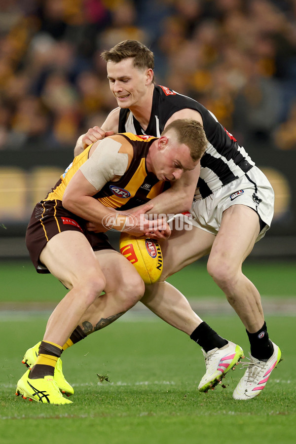 AFL 2025 Round 22 - Hawthorn v Collingwood - A-61162253
