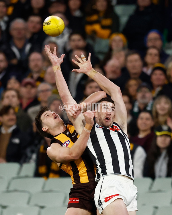 AFL 2025 Round 22 - Hawthorn v Collingwood - A-61162262