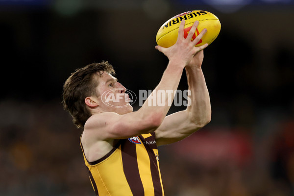 AFL 2025 Round 22 - Hawthorn v Collingwood - A-61162265