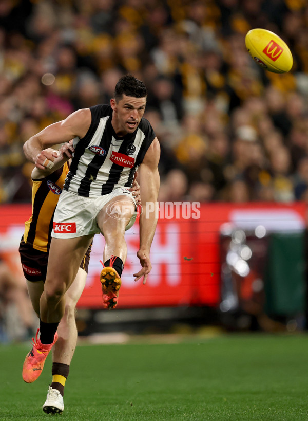 AFL 2025 Round 22 - Hawthorn v Collingwood - A-61166309