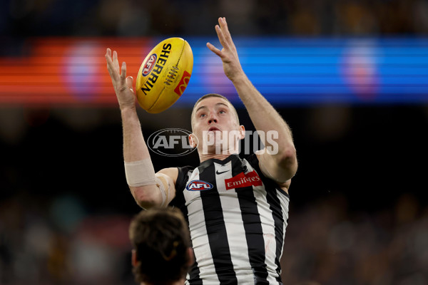 AFL 2025 Round 22 - Hawthorn v Collingwood - A-61166359