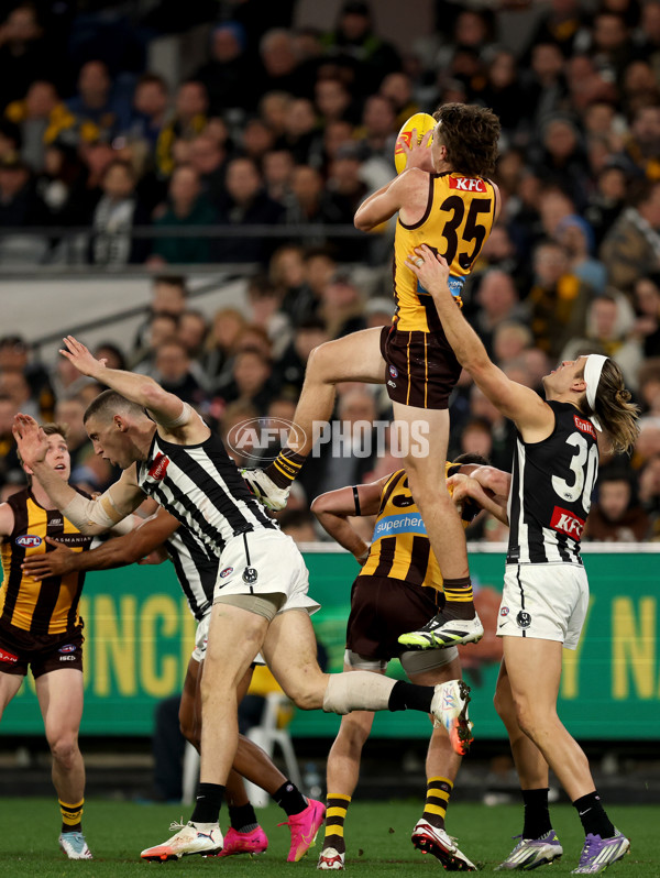 AFL 2025 Round 22 - Hawthorn v Collingwood - A-61166366