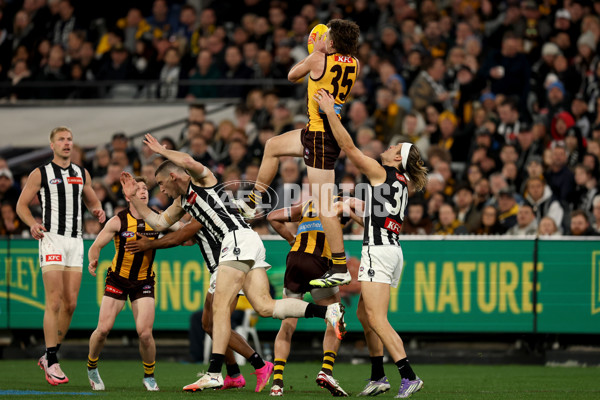 AFL 2025 Round 22 - Hawthorn v Collingwood - A-61166367