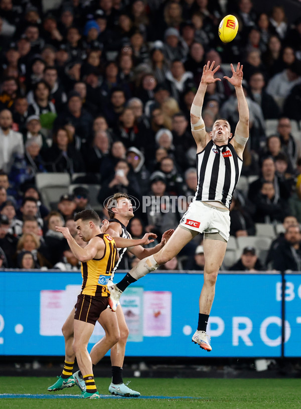 AFL 2025 Round 22 - Hawthorn v Collingwood - A-61166405