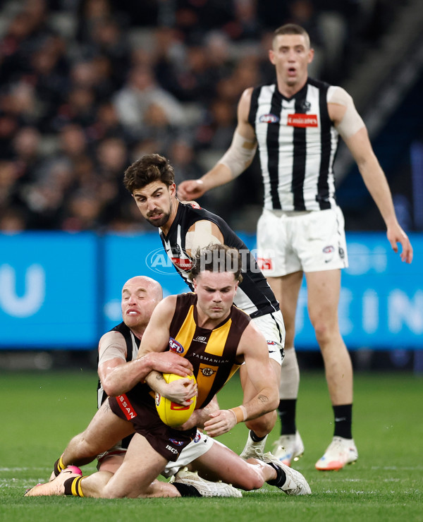 AFL 2025 Round 22 - Hawthorn v Collingwood - A-61167579