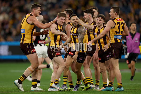 AFL 2025 Round 22 - Hawthorn v Collingwood - A-61167585