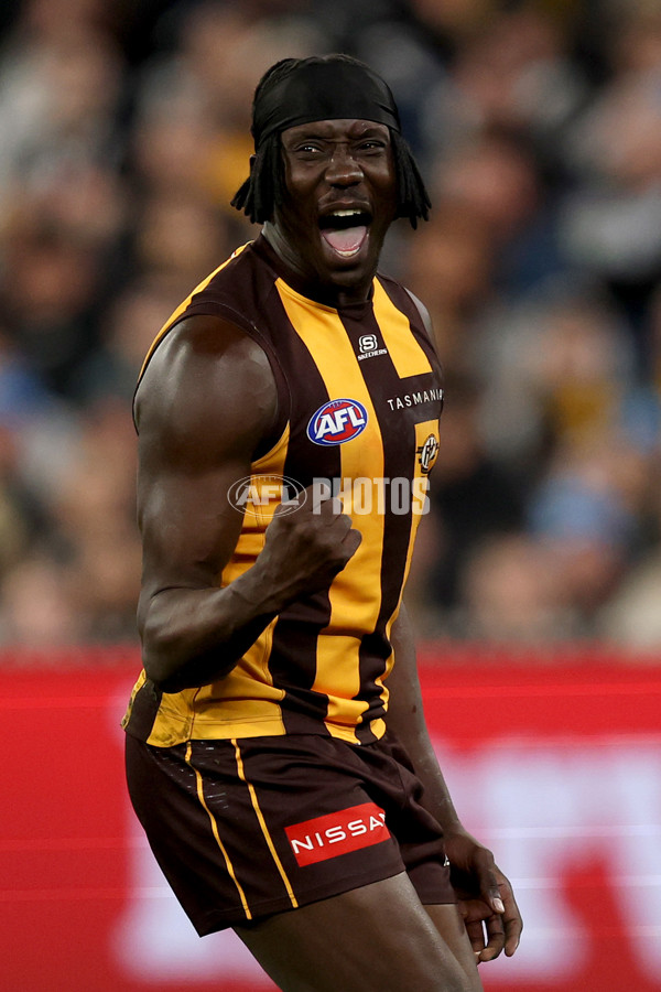 AFL 2025 Round 22 - Hawthorn v Collingwood - A-61167616