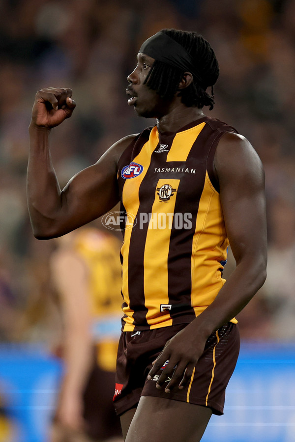 AFL 2025 Round 22 - Hawthorn v Collingwood - A-61170379