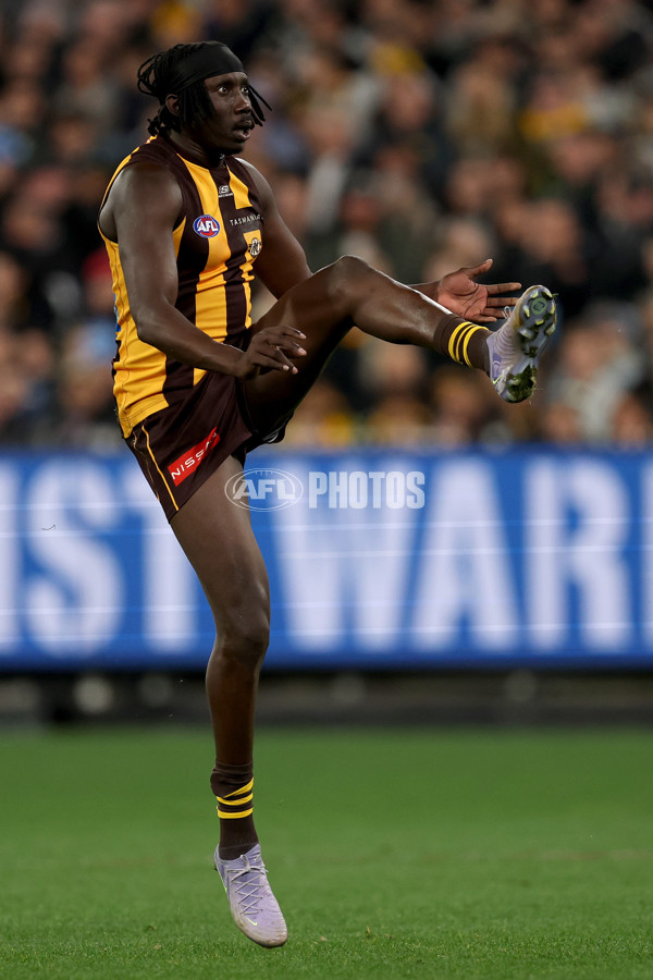 AFL 2025 Round 22 - Hawthorn v Collingwood - A-61170392