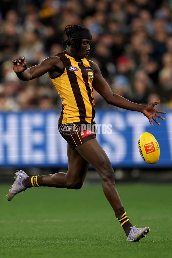 AFL 2025 Round 22 - Hawthorn v Collingwood - A-61170393