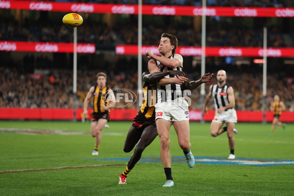 AFL 2025 Round 22 - Hawthorn v Collingwood - A-61170396
