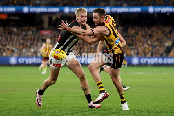AFL 2025 Round 22 - Hawthorn v Collingwood - A-61170406