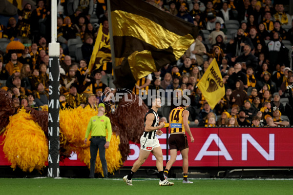 AFL 2025 Round 22 - Hawthorn v Collingwood - A-61170409