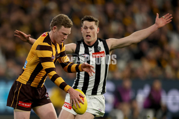 AFL 2025 Round 22 - Hawthorn v Collingwood - A-61170413